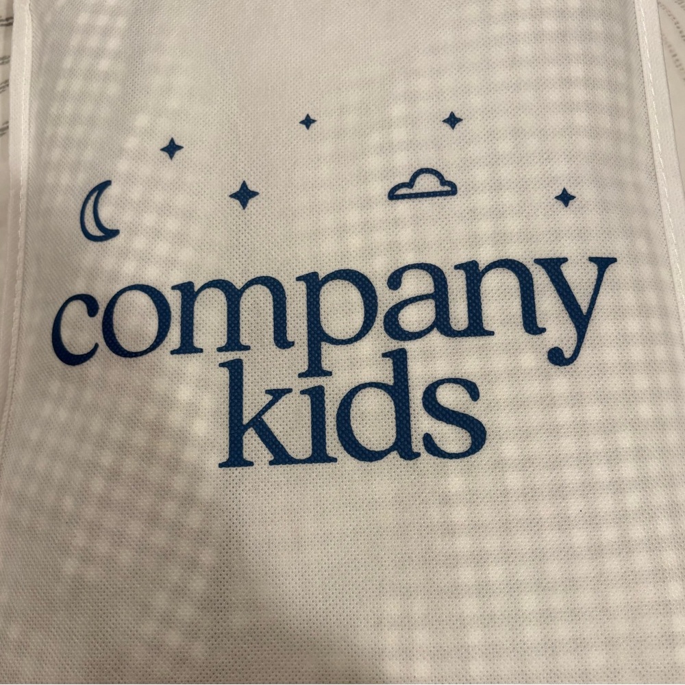 Company Kids Ditsy Gingham classic cool organic cotton quilted blanket and cover